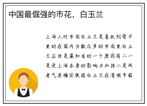 中国最倔强的市花，白玉兰