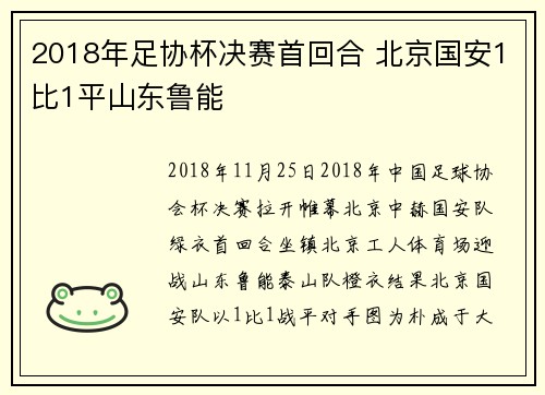 2018年足协杯决赛首回合 北京国安1比1平山东鲁能