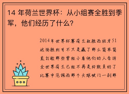 14 年荷兰世界杯：从小组赛全胜到季军，他们经历了什么？